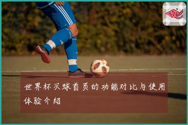 世界杯买球首页的功能对比与使用体验介绍