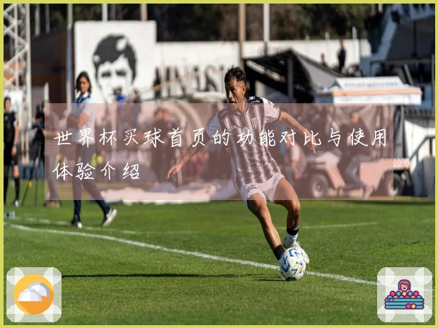 世界杯买球首页的功能对比与使用体验介绍