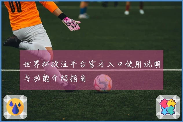 世界杯投注平台官方入口使用说明与功能介绍指南