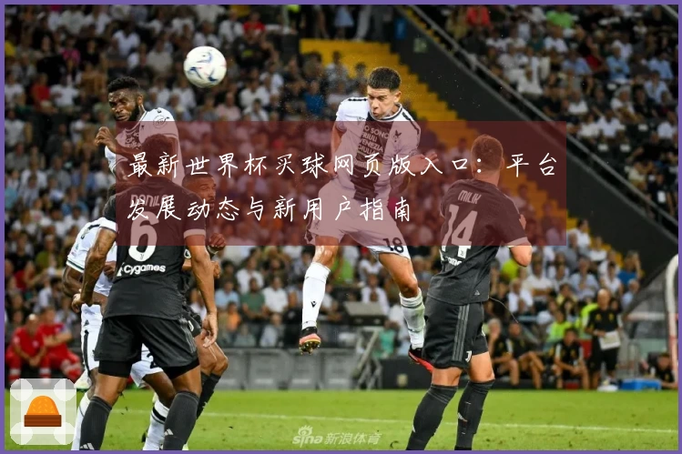 最新世界杯买球网页版入口：平台发展动态与新用户指南