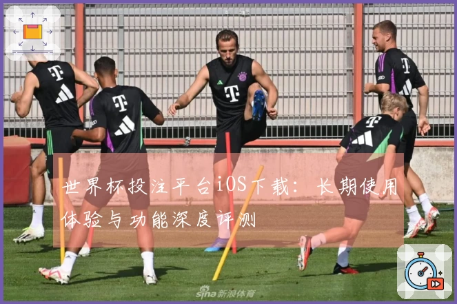 世界杯投注平台iOS下载：长期使用体验与功能深度评测
